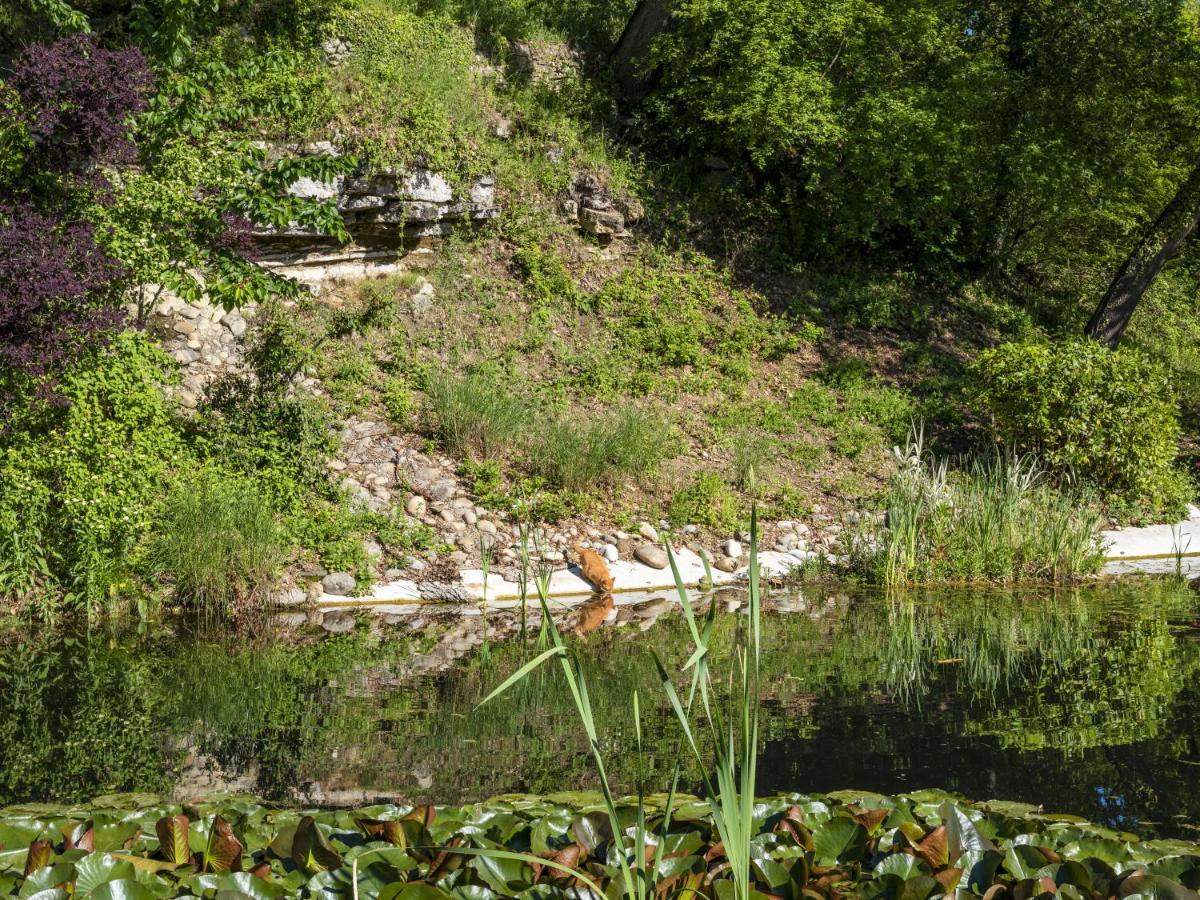 La Campagne St Lazare - Restaurant Chambres D'Hotes Piscine & Spa Forcalquier Luaran gambar