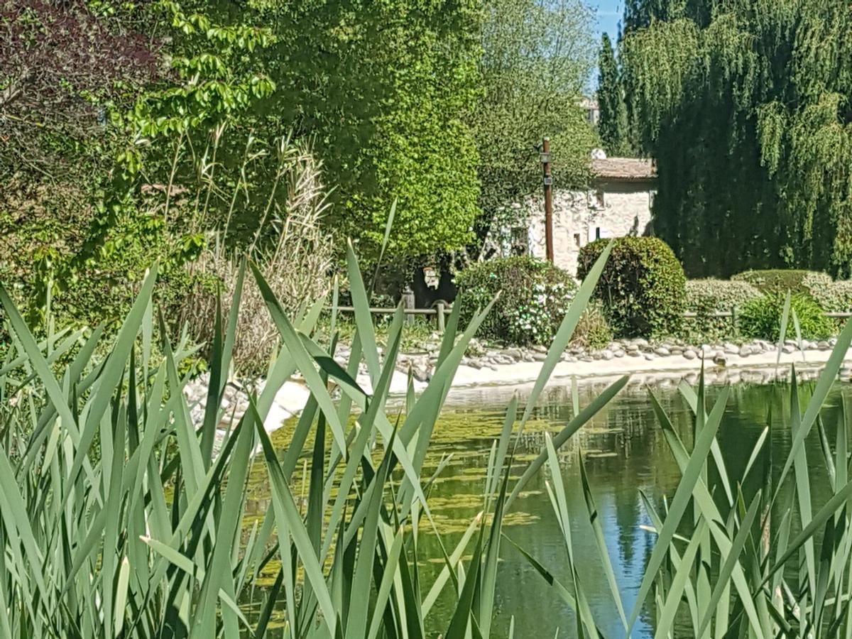 La Campagne St Lazare - Restaurant Chambres D'Hotes Piscine & Spa Forcalquier Luaran gambar