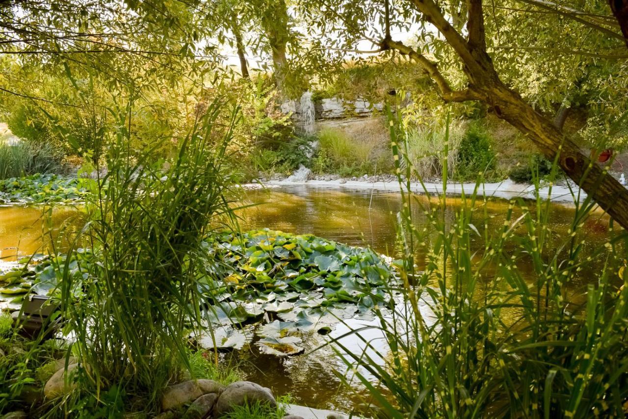 La Campagne St Lazare - Restaurant Chambres D'Hotes Piscine & Spa Forcalquier Luaran gambar