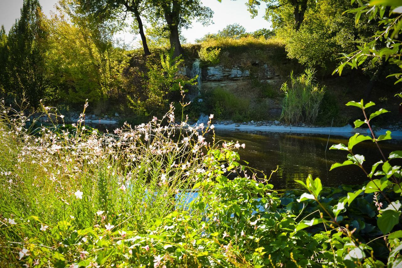 La Campagne St Lazare - Restaurant Chambres D'Hotes Piscine & Spa Forcalquier Luaran gambar